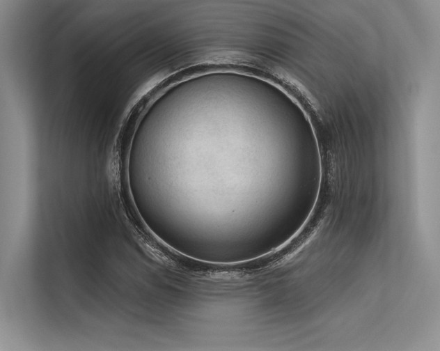 X0000113571114200909181241