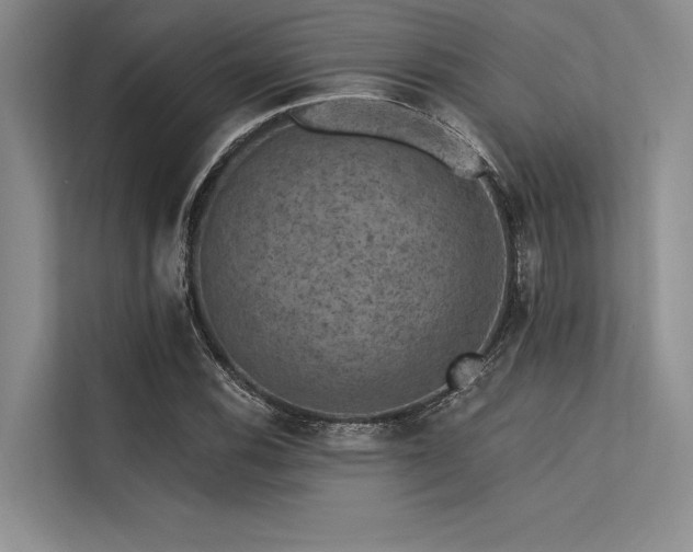 X0000113571116200909181241