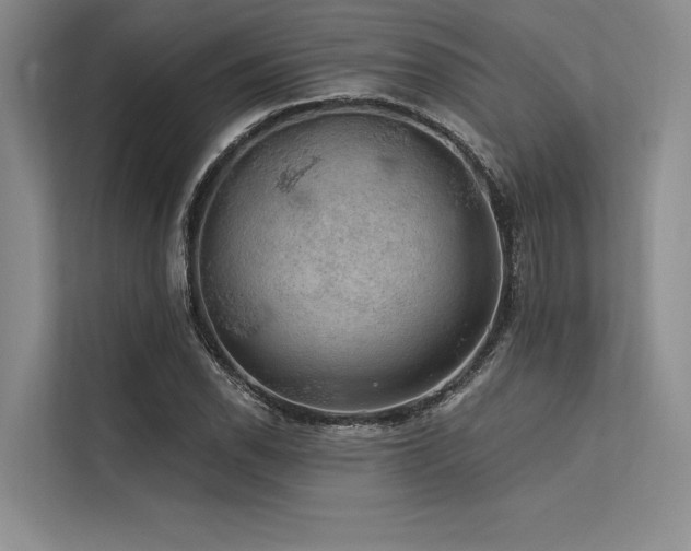 X0000113571118200909181242