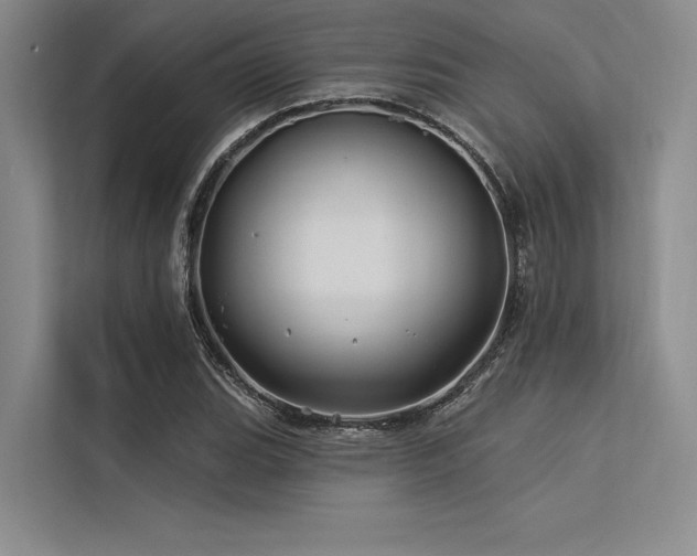 X0000113571119200909181242
