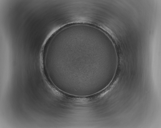 X0000113571120200909181242