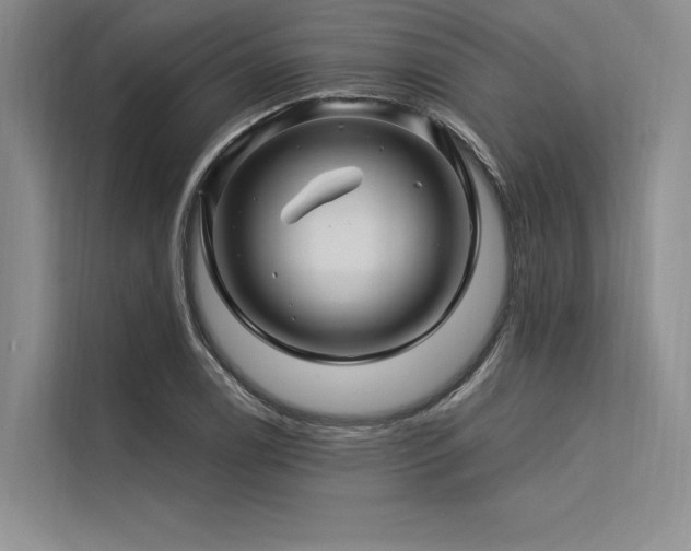 X0000113571122200909181242