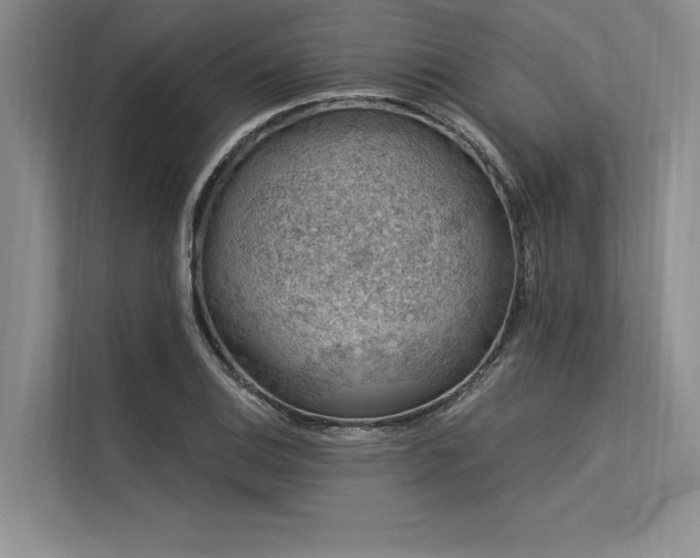 X0000113571124200909181242