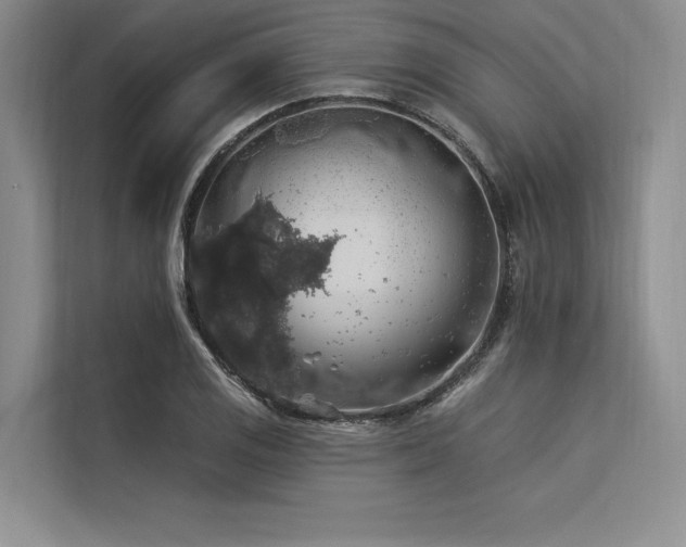 X0000113571125200909181242