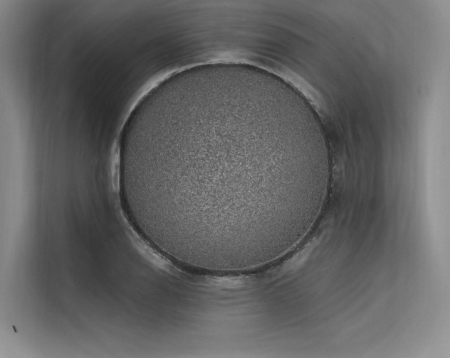 X0000113571126200909181242