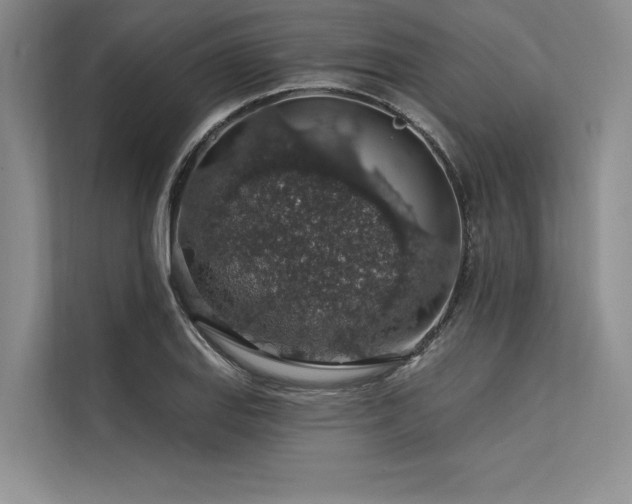 X0000113571127200909181242