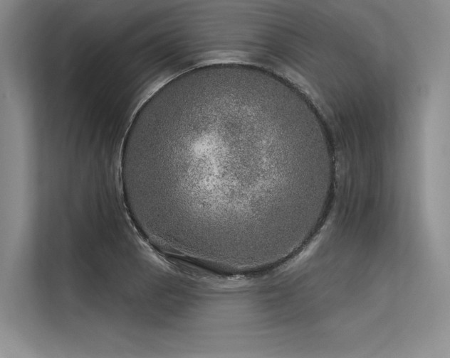 X0000113571129200909181242