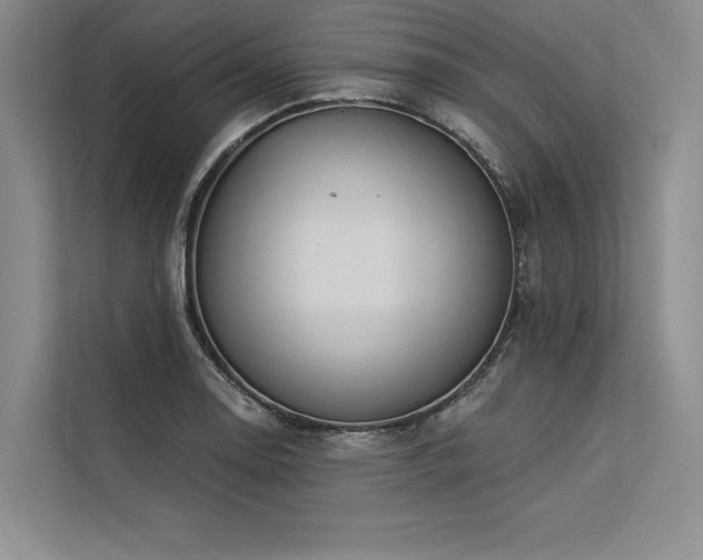 X0000113571130200909181242