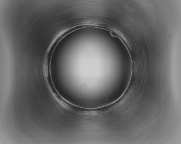 X0000113571131200909181242