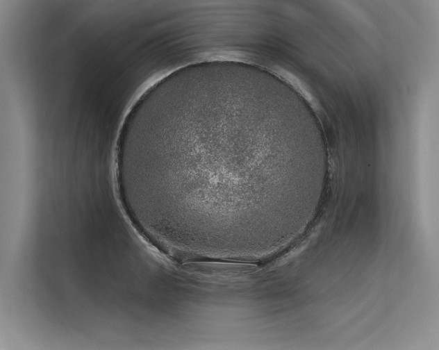 X0000113571133200909181242