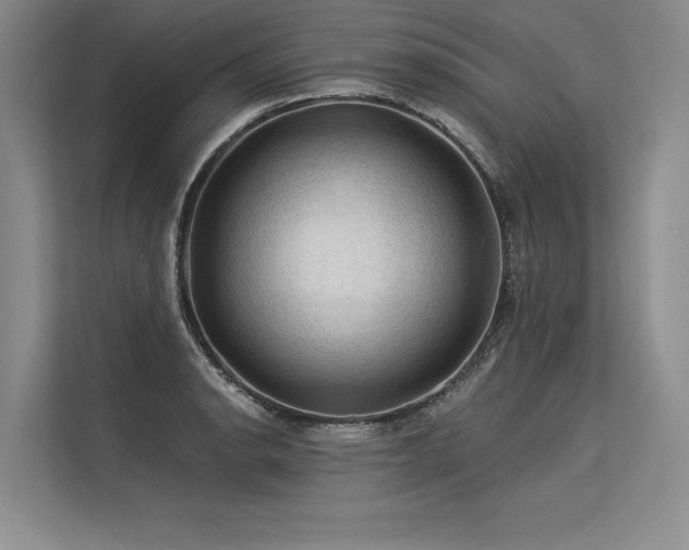 X0000113571134200909181242