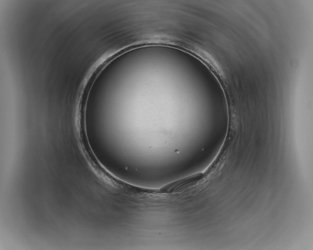 X0000113571136200909181242