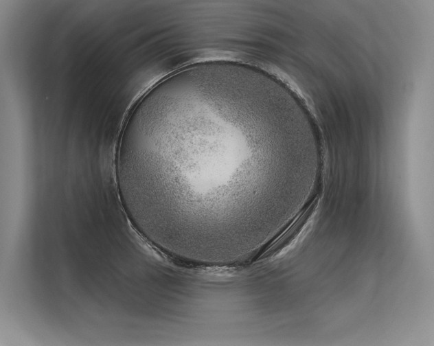X0000113571137200909181242