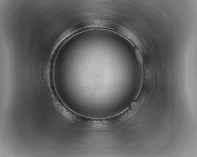 X0000113571138200909181242