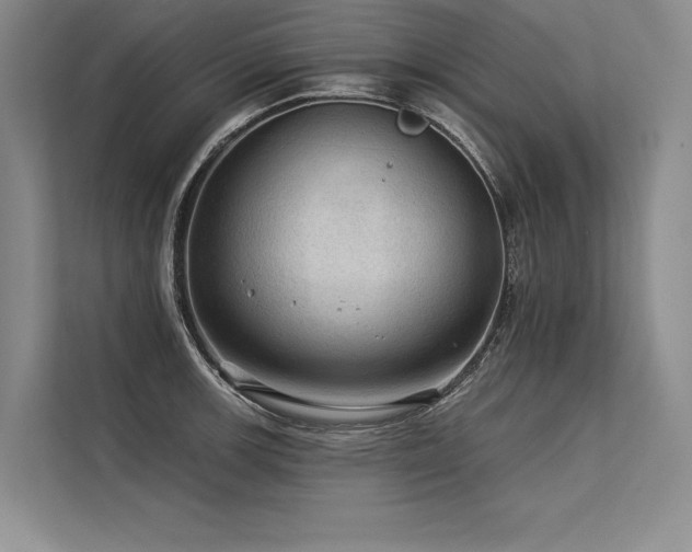 X0000113571139200909181242