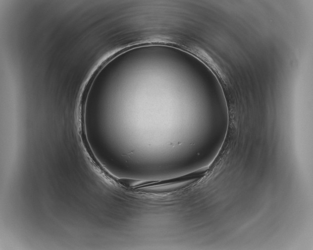 X0000113571140200909181242