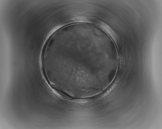 X0000113571141200909181242
