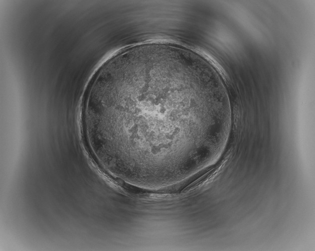 X0000113571142200909181242