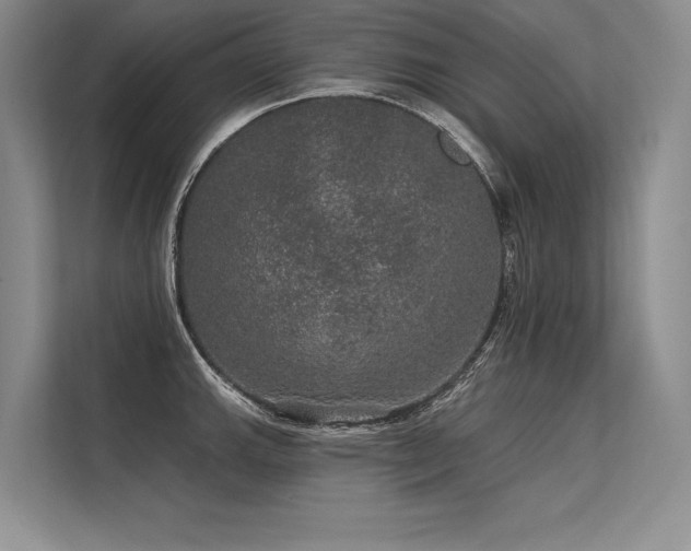 X0000113571143200909181242