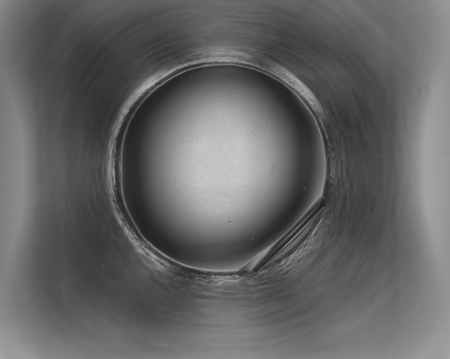 X0000113571144200909181242
