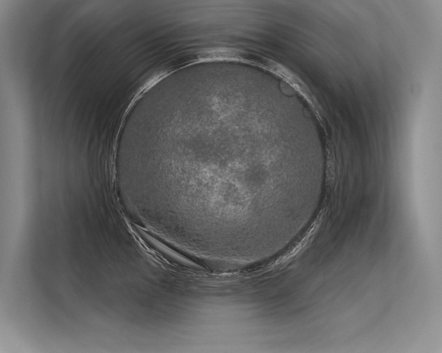 X0000113571145200909181242