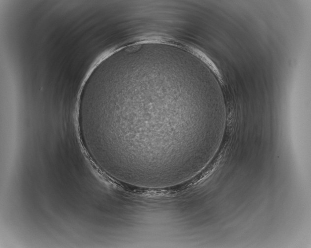 X0000113571146200909181242
