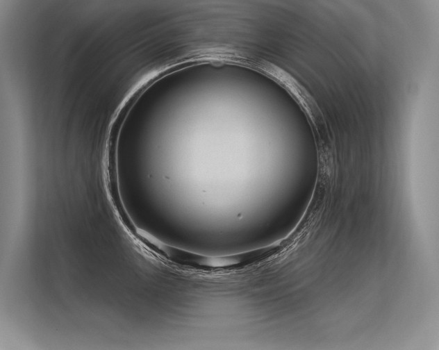 X0000113571147200909181242