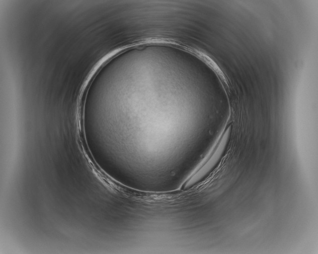 X0000113571148200909181242