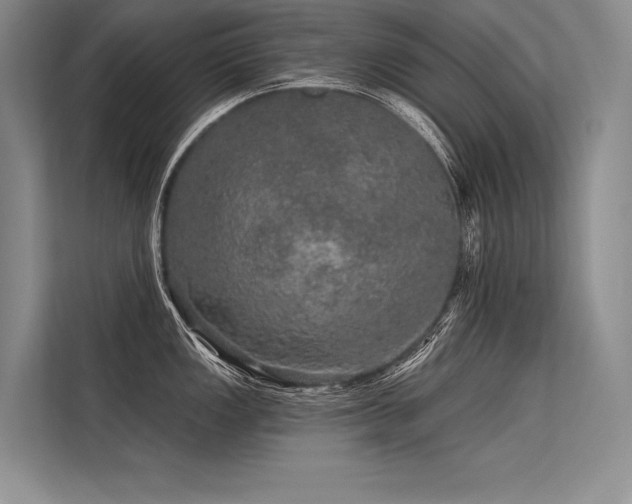 X0000113571149200909181242
