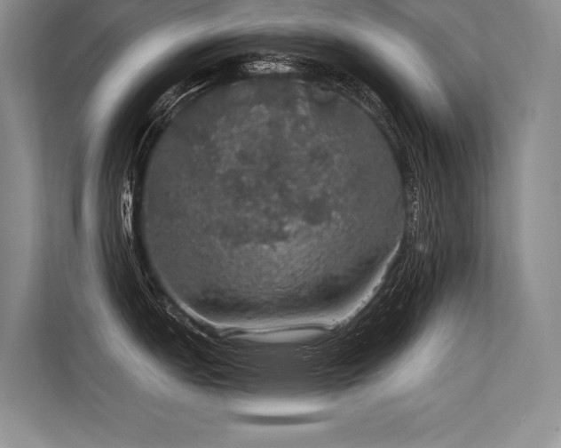 X0000113571151200909181242