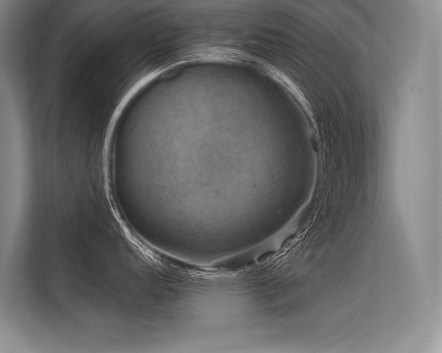 X0000113571152200909181242