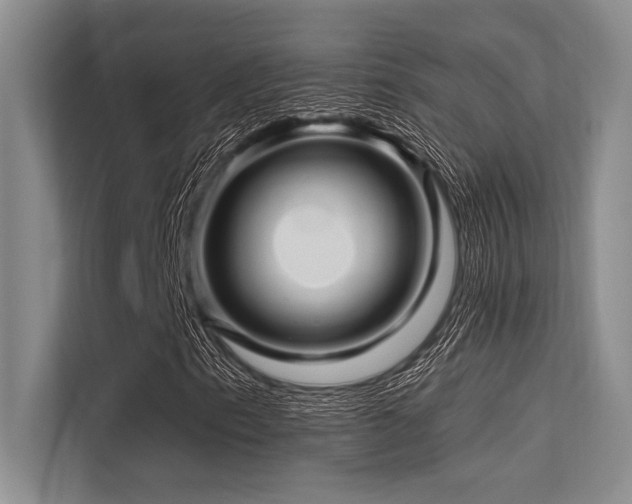X0000113571153200909181241