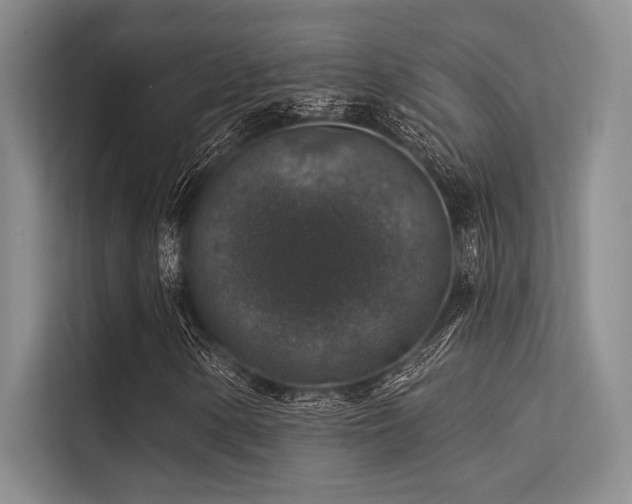 X0000113571154200909181241