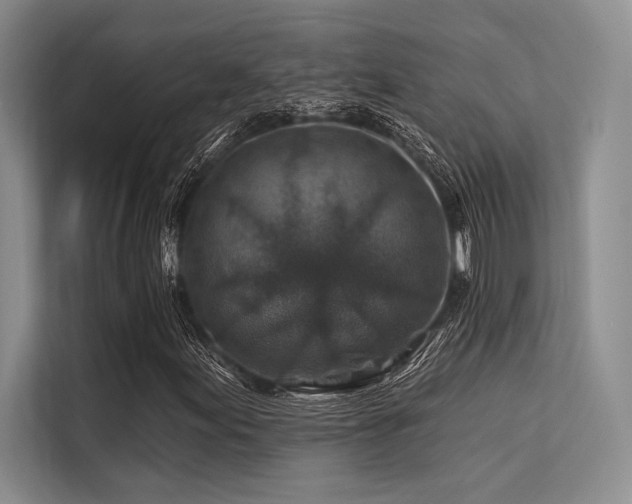 X0000113571155200909181241