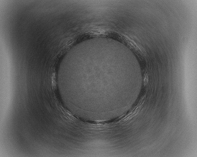 X0000113571156200909181241