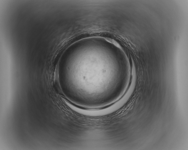 X0000113571157200909181241