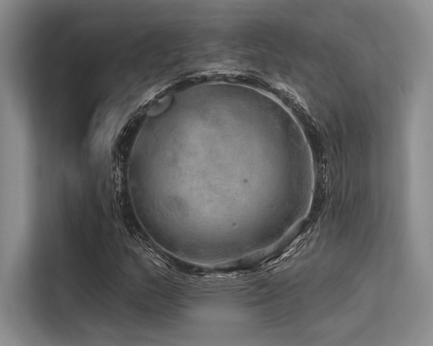 X0000113571159200909181241