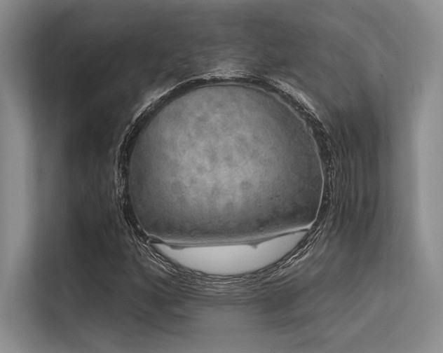 X0000113571160200909181241