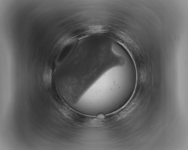 X0000113571161200909181241