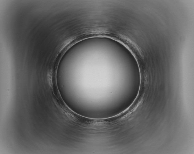 X0000113571162200909181241