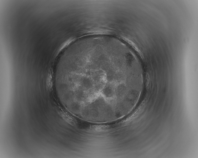 X0000113571163200909181241