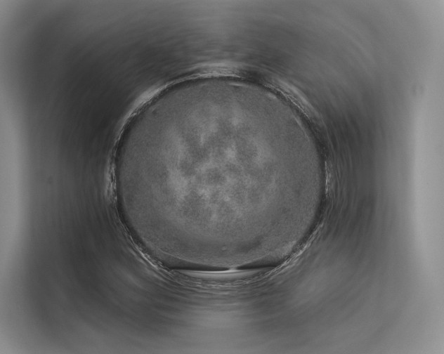 X0000113571164200909181241
