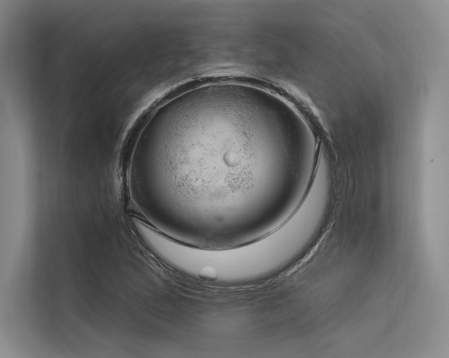 X0000113571167200909181241