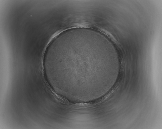 X0000113571168200909181241