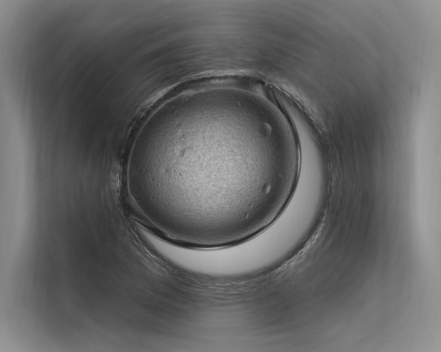 X0000113571169200909181241