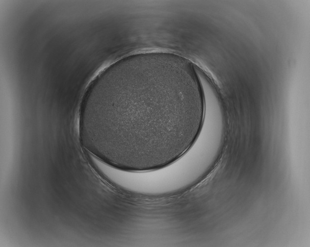 X0000113571173200909181241