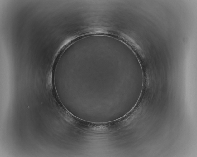 X0000113571174200909181241