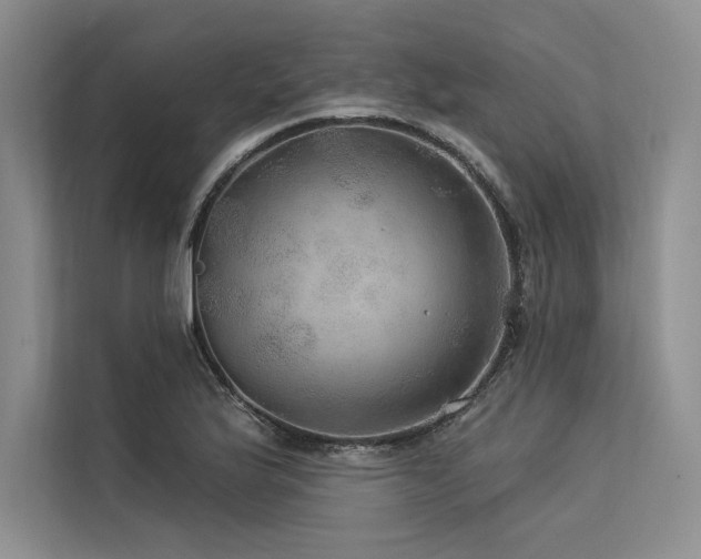 X0000113571175200909181241