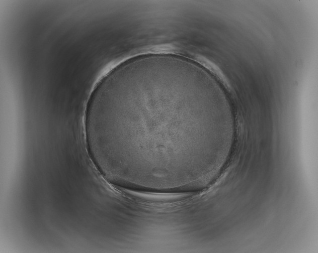 X0000113571176200909181241