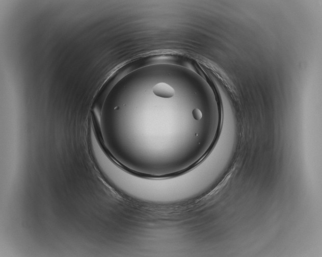 X0000113571177200909181241